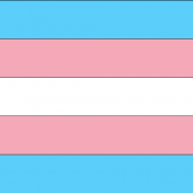 Trans* Pride Flag